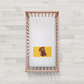 The Flash Baby Bed Set
